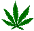 marijana and drug legalization